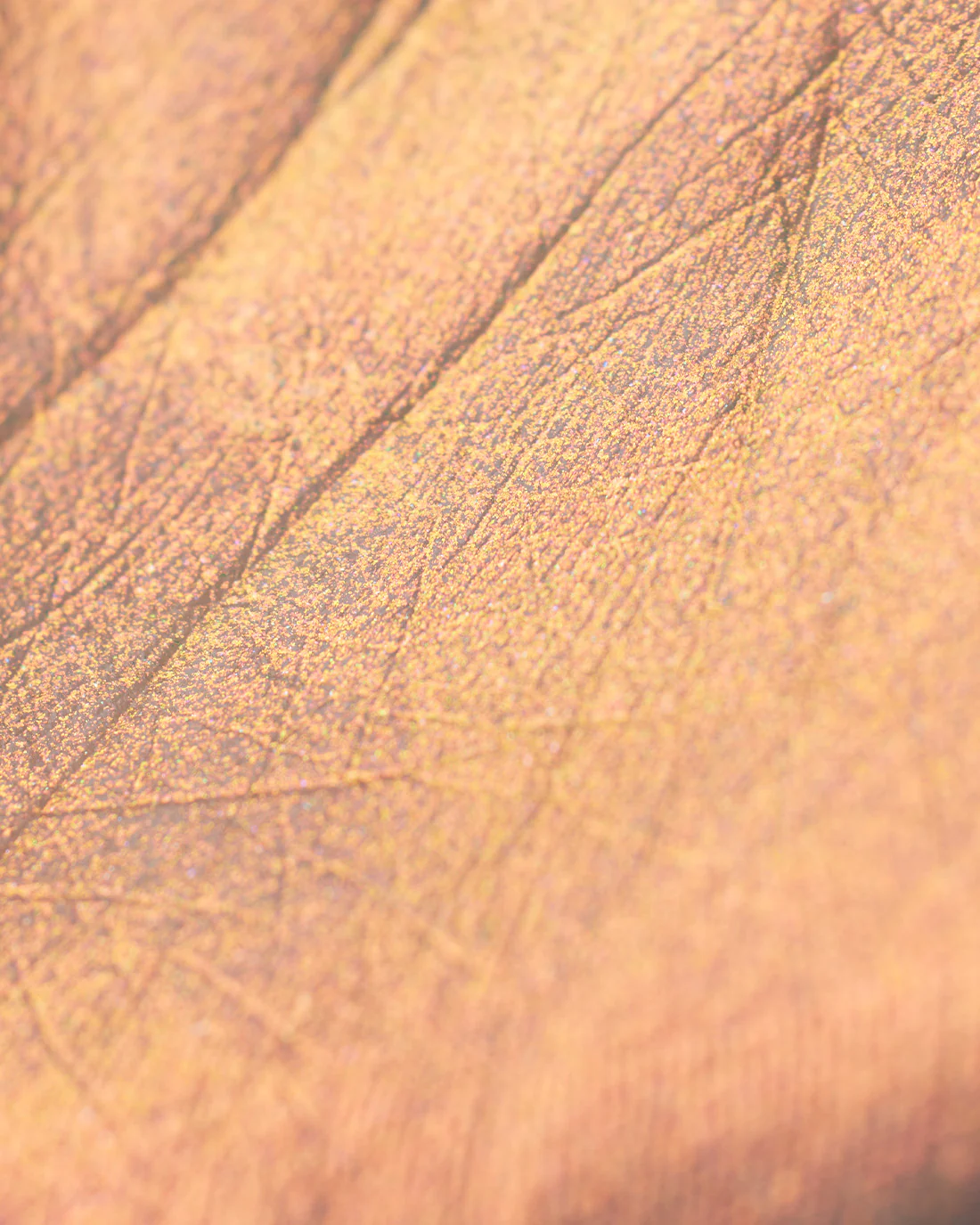 Thumbnail 21
